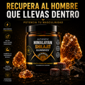 Himalayan Gold Shilajit Gummies Suplemento – Energía Natural y Vitalidad en Cada Gominola